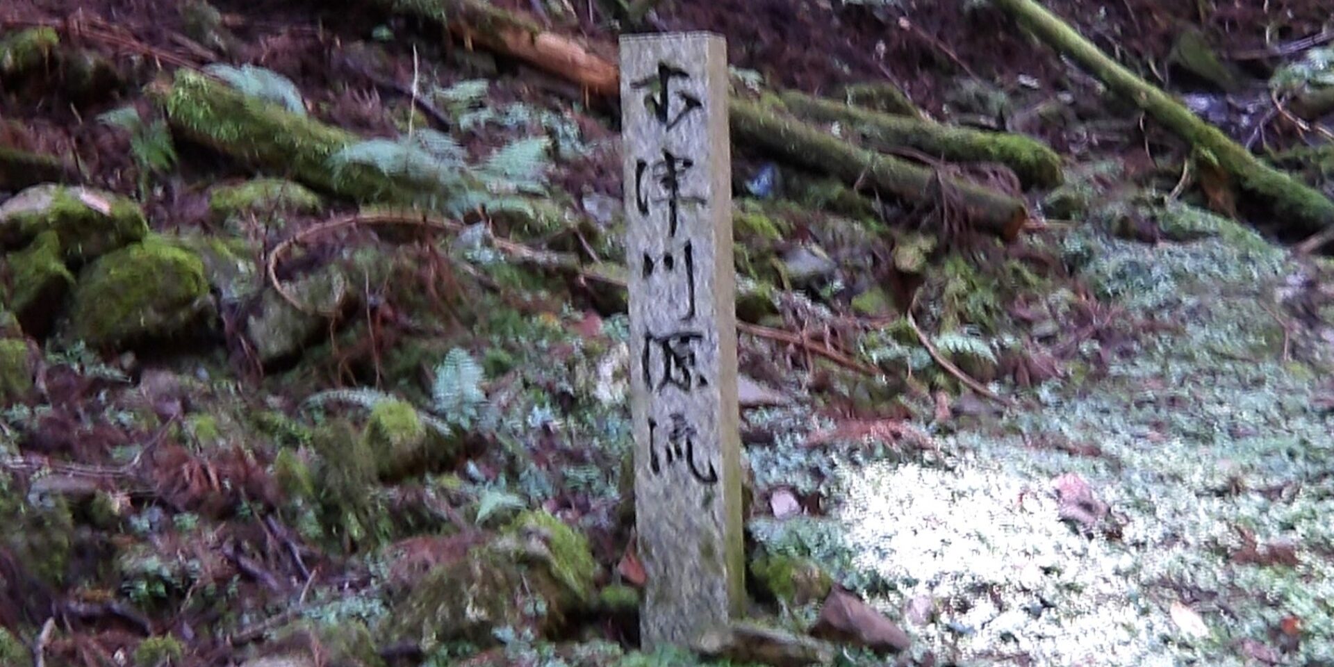 ヘッダー画像
